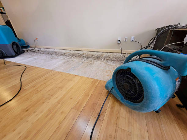 Professional Ceiling Water Damage Repair technician working in Powellton, WV